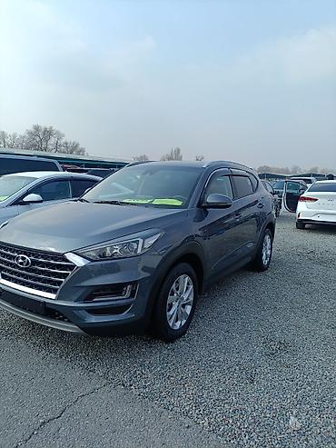 Hyundai: Hyundai Tucson: 2019 г., 2 л, Автомат, Дизель, Кроссовер — 3