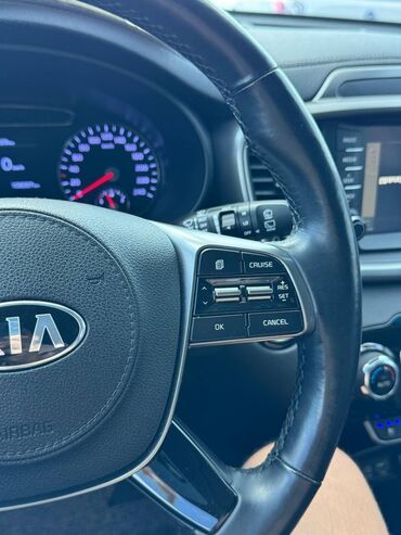 Kia: Kia Sorento: 2019 г., 2 л, Автомат, Дизель, Кроссовер — 6