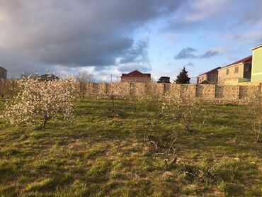 Torpaq sahələrinin satışı: 25 sot, Tikinti, Makler, Kupça (Çıxarış) — 6