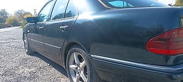 Mercedes-Benz: Mercedes-Benz 220: 1998 г., 2.5 л, Механика, Дизель, Седан — 6