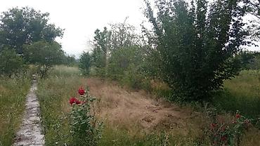 пригороде: 5 соток, Красная книга — 8