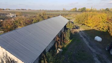 Torpaq sahələrinin satışı: 1000 sot, Kənd təsərrüfatı, Makler, Kupça (Çıxarış) — 3