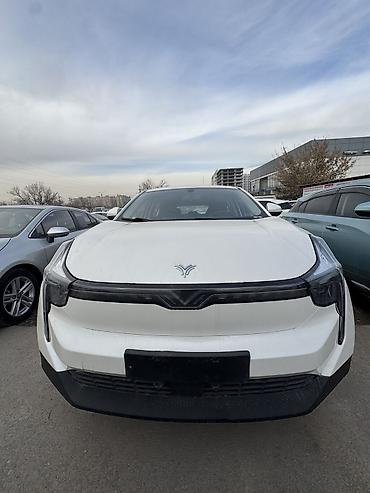 Weltmeister: Weltmeister 2021 г., 123000 км, Передний, В наличии — 1