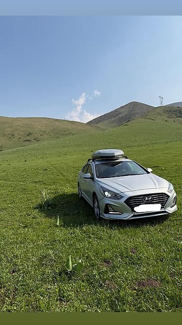 шевроле коболт: Hyundai Sonata: 2018 г., 2 л, Автомат, Газ, Седан — 1