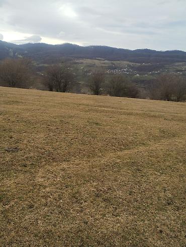 Torpaq sahələrinin satışı: 130 sot, Kənd təsərrüfatı, Kupça (Çıxarış) — 2