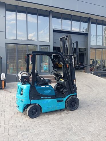 Погрузчики: Погрузчик, 2010 г., Колесный, Вилочный — 13