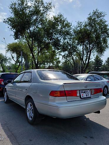 чехоль: Toyota Camry: 2000 г., 2.2 л, Автомат, Бензин, Седан — 4
