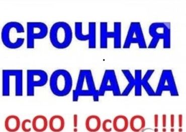 Другие услуги: Продаем ОсОО с историей. Бухгалтерия, и по юридической части все в