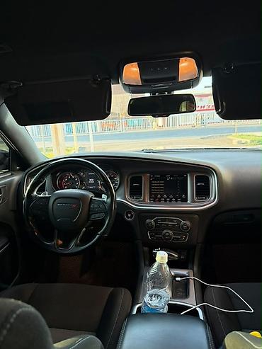 dodge challanger: Dodge Challenger: 2022 г., 3.6 л, Автомат, Бензин, Седан — 2