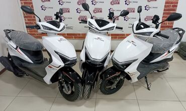 Скутеры: Тип скутера Ангел, 150 куб. см, Бензин, Новый — 9