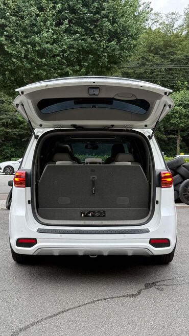 Kia: Kia Carnival: 2019 г., 2.2 л, Автомат, Дизель, Минивэн — 10