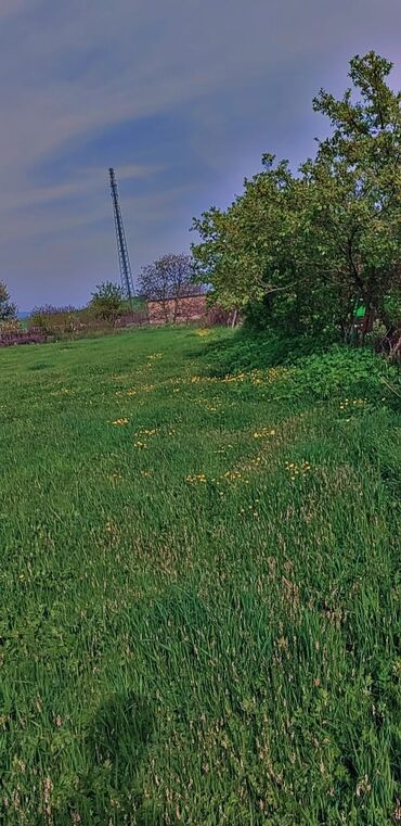 Kirayə torpaq sahələri: 10 sot Kənd təsərrüfatı, Qaz, Su, İşıq — 11