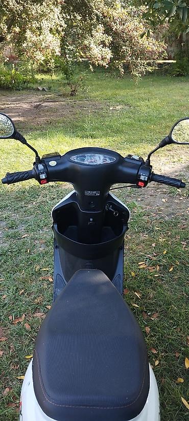 avtomobil satışı vakansiya: - XROAD, 50 sm3, 2024 il, 1831 km — 1
