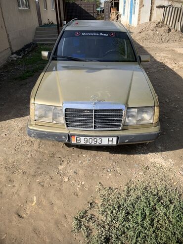 w124 дерево: Mercedes-Benz W124: 1988 г., 2.3 л, Механика, Бензин