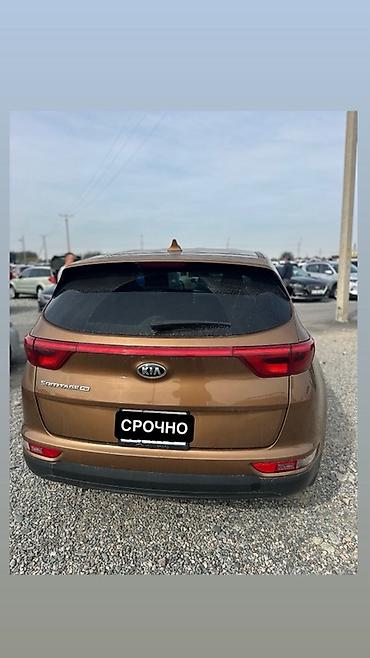185 14 с: Kia Sportage: 2019 г., 2.4 л, Автомат, Бензин, Кроссовер — 4