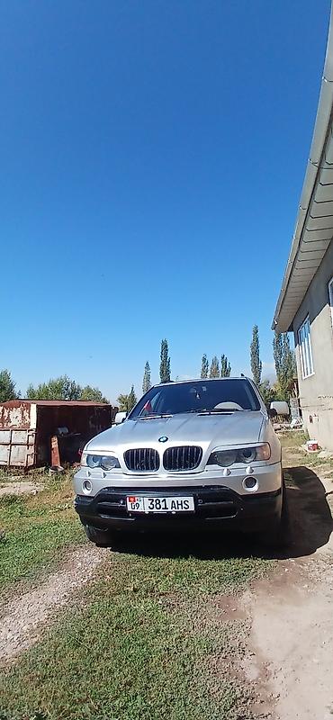 BMW: BMW X5: 2002 г., 4.4 л, Автомат, Бензин, Кроссовер — 2