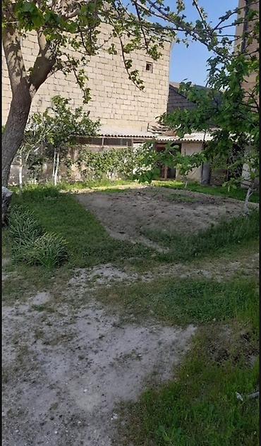 zirə fk: 9 otaq, 390 kv. m, Kredit yoxdur, Yeni təmirli — 4