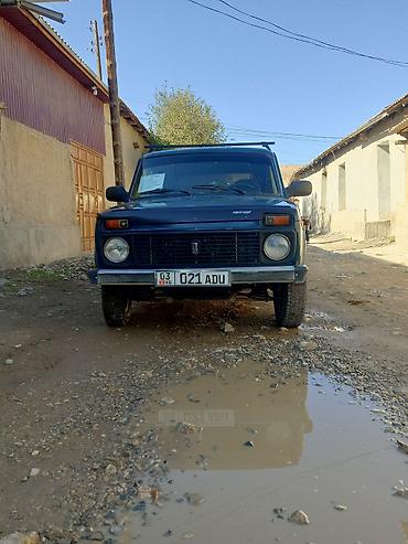 авто гаджеты: ВАЗ (ЛАДА) 4x4 Нива: 2004 г., 1.7 л, Механика, Бензин, Внедорожник — 7