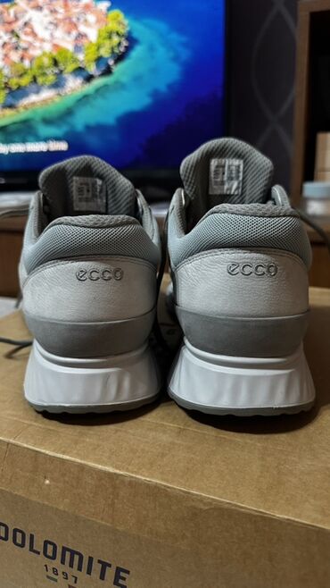 беговые красовки: Мужские кроссовки ECCO, серые - Бренд: ECCO (логотип на язычке