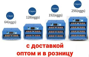 С/х животные и товары: Инкубаторлор сатылат жаңы производство Россия Китай разные есть в на