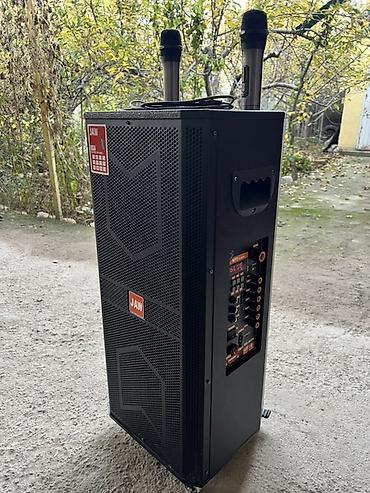 Karaoke systems1: Портативная акустическая система JAW (напольная колонка на колесиках) — 2