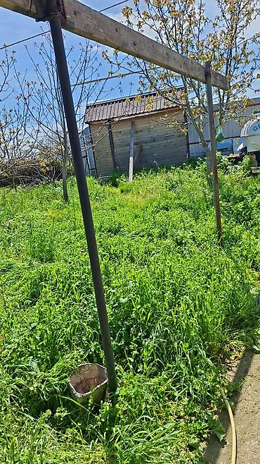 Torpaq sahələrinin satışı: 10 sot, Kənd təsərrüfatı, Mülkiyyətçi, Bələdiyyə — 2