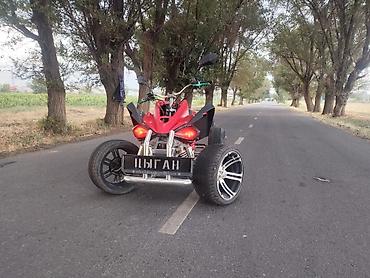 Квадроциклы: Квадроцикл Бензин, 250 куб. см, Взрослый at lalafo.kg — 18 Квадроциклы: Квадроцикл Бензин, 250 куб. см, Взрослый — 18