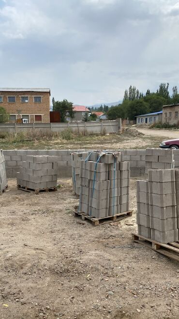 продаю комнатные растения: Топурак бекер берилет Ысыккөл облусу Жети Өгүз районуну 1 Камаздык