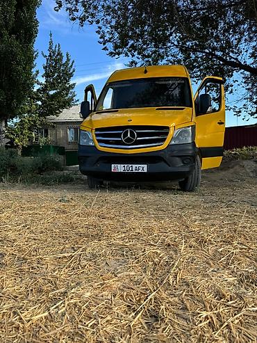 выбор номера о: Легкий грузовик, Mercedes-Benz, Стандарт, Б/у — 3