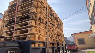 костюмерная винтаж дворец спорта ( костюмерная фея) фото: Куплю паддоны(полеты) размер 120х100 120х80