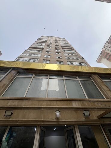 Meyvə və giləmeyvə: ZEHMET OLMASA DIQQETNEN OXU SORA ZENG VUR. Yalniz Hazir Biznes kimi — 11