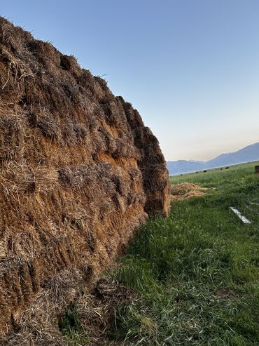 кара бак сатам: Саман сатылат, Продаю сено г.Кара-Балта село Полтавка