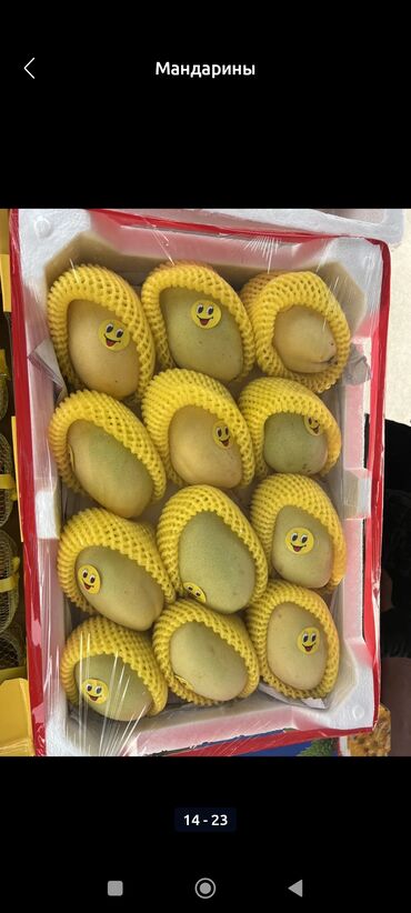 Мандарины: Мандарины Оптом — 12