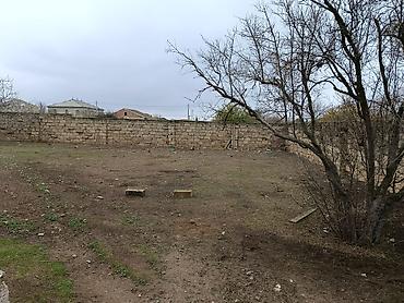 Torpaq sahələrinin satışı: 7 sot, Tikinti, Kupça (Çıxarış) — 4