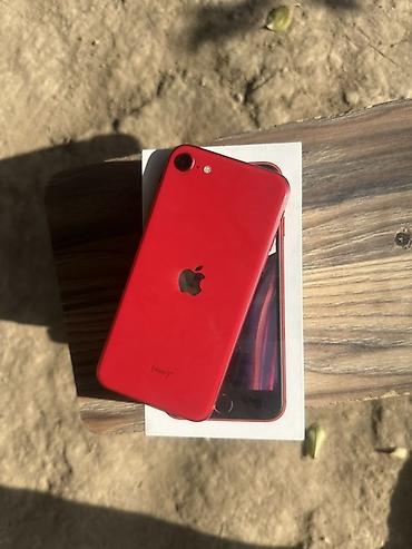 iphone телфон: IPhone SE 2020, Б/у, 64 ГБ, Красный, Коробка, 77 % — 1