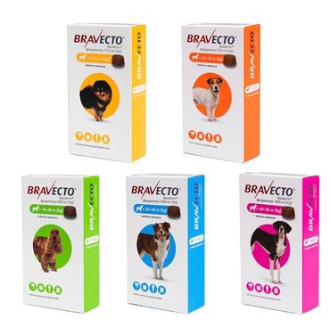 корм для собак: Жевательная таблетка от блох и клещей для собак Бравекто (BRAVECTO)