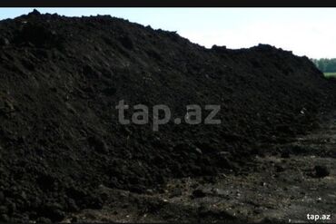 Ağaclar: Hər vaxtınız xeyir olsun dəyərli müştərilərimiz. Bizə vaxt ayırdığınız — 9