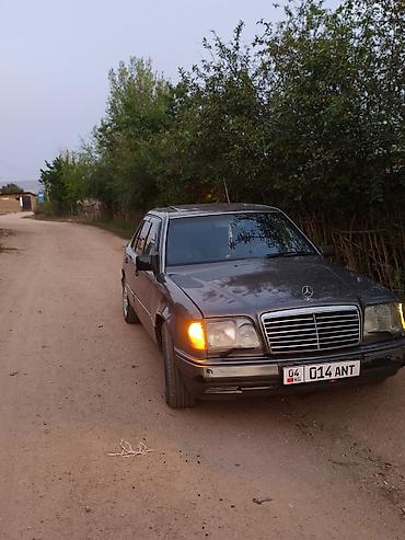 s class w221: Mercedes-Benz W124: 1994 г., 2.2 л, Автомат, Бензин, Седан — 6