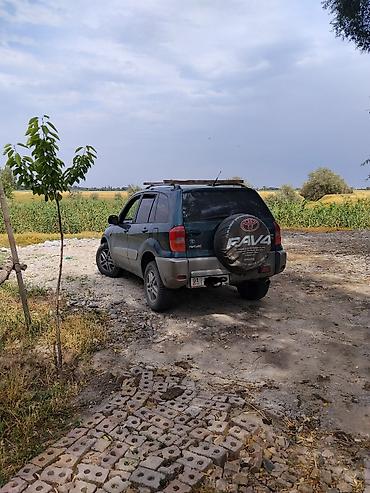 Toyota RAV4: 2002 г., Кроссовер