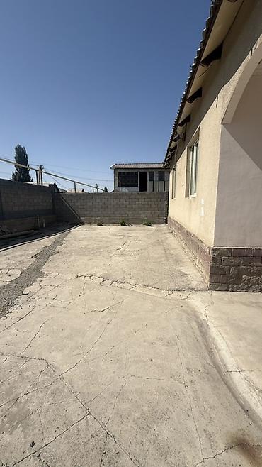 участок боконбаев: 8 соток, Красная книга — 2