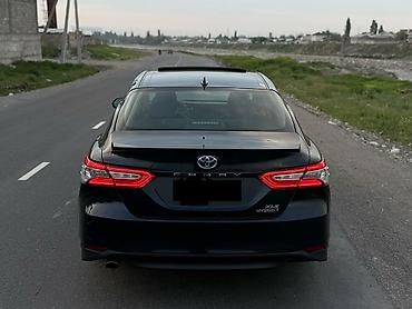 Toyota: Toyota Camry: 2020 г. — 7