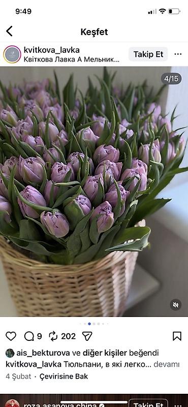 Букеты из живых цветов: Оптом и розницыбукеты тюльпанов - Состав: свежесрезанные тюльпаны — 8