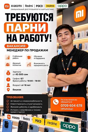 художники кыргызстана: Требуется Менеджер по продажам, График: Шестидневка, Полный рабочий день, Карьерный рост — 1