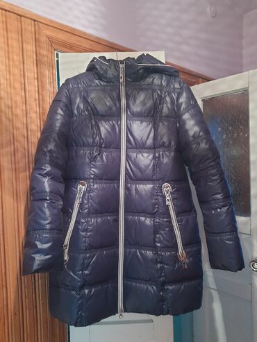 Пуховики и зимние куртки: Пуховик, 6XL (EU 52)