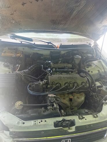 хондо цивик: Продается седан Honda Civic белого цвета. Автомобиль оснащен