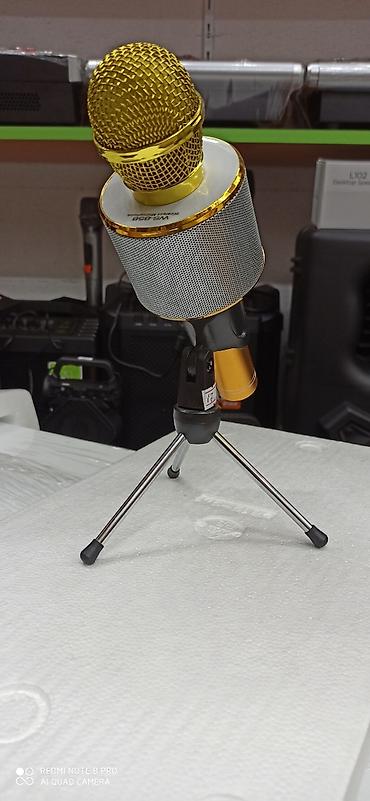 Музыкальные инструменты: Stolüstümikrafon dayağı, stoyka Rast musiqi alətləri mağazası — 1