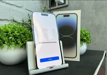 айыон 14 про: IPhone 14 Pro, Колдонулган, 256 ГБ, Күмүш, Куту, Бөлүп төлөө менен, 85 %