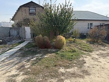 кошара сарай: 4 комнаты, 80 м², 4 соток, Джал, Собственник — 10