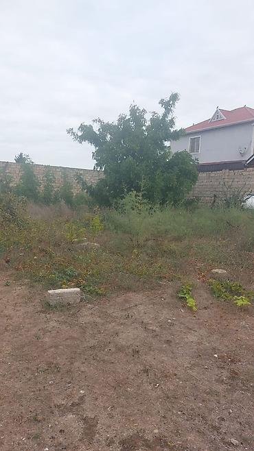 ramana sovxoz: 2 sot, Tikinti, Mülkiyyətçi, Kupça (Çıxarış) — 2