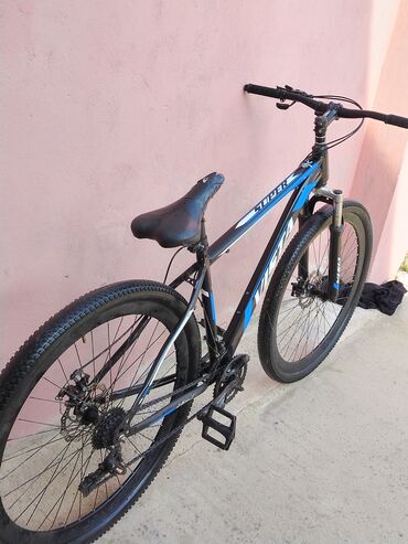 İdman velosipedləri: Dağ velosipedi Vista, 29" — 1